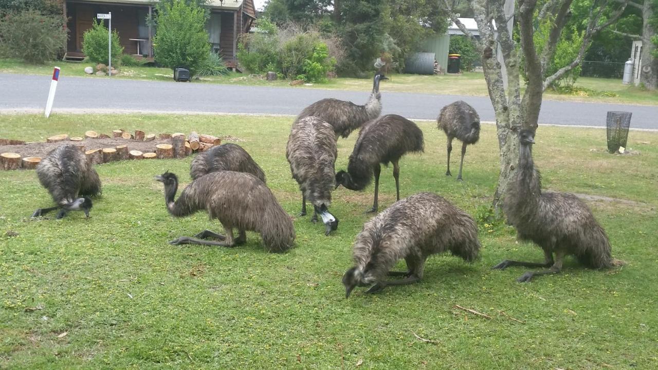 Yha Grampians Eco, Halls Gap Exterior photo